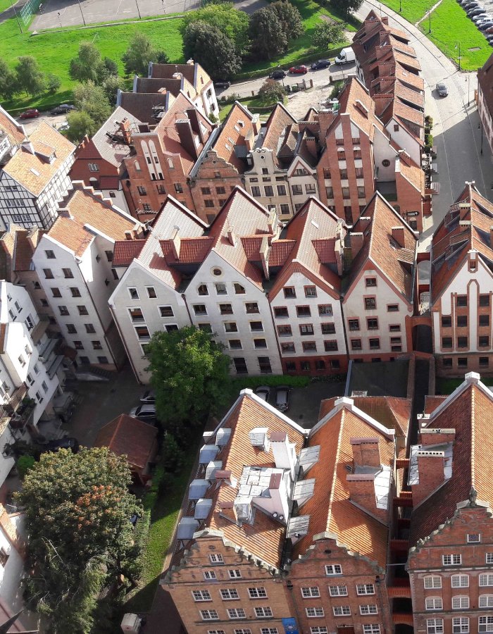 Elbląg