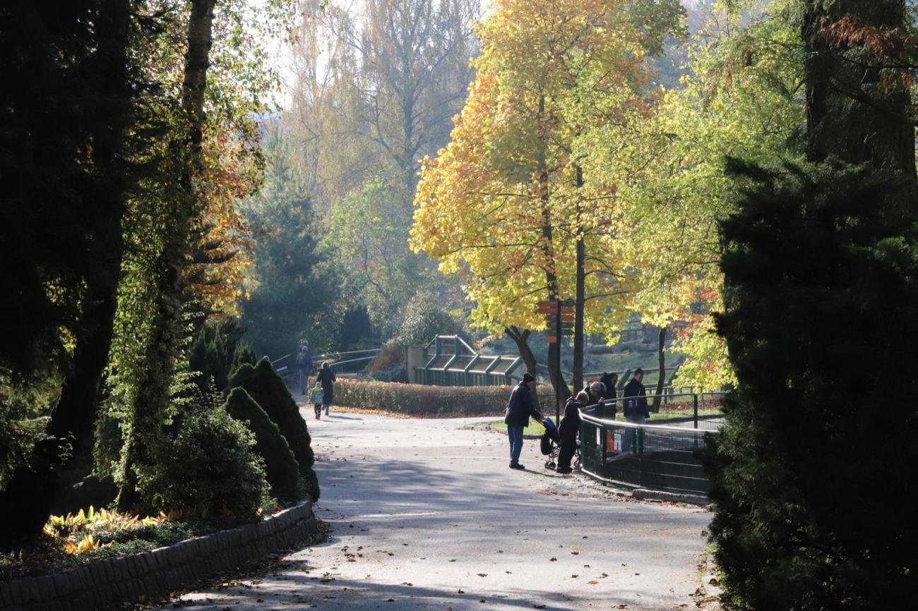 foto. Gdański Ogród Zoologiczny