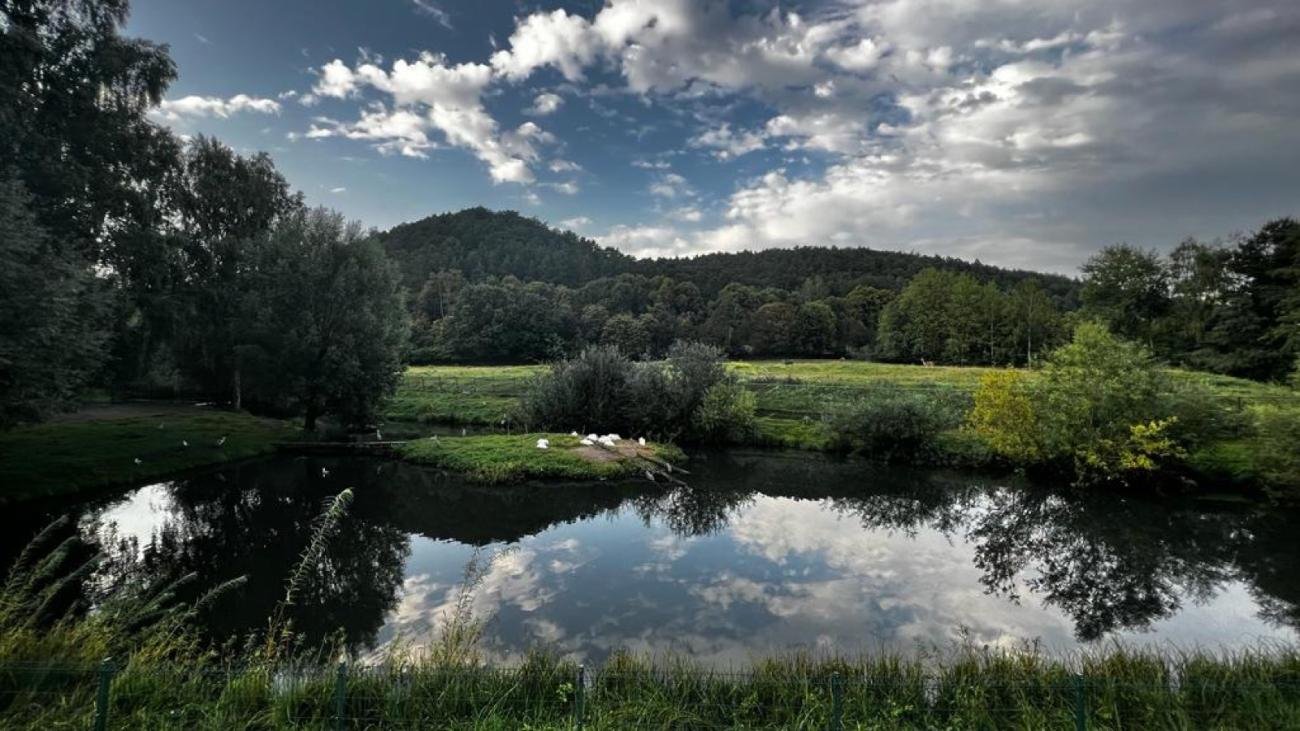 foto. Gdański Ogród Zoologiczny