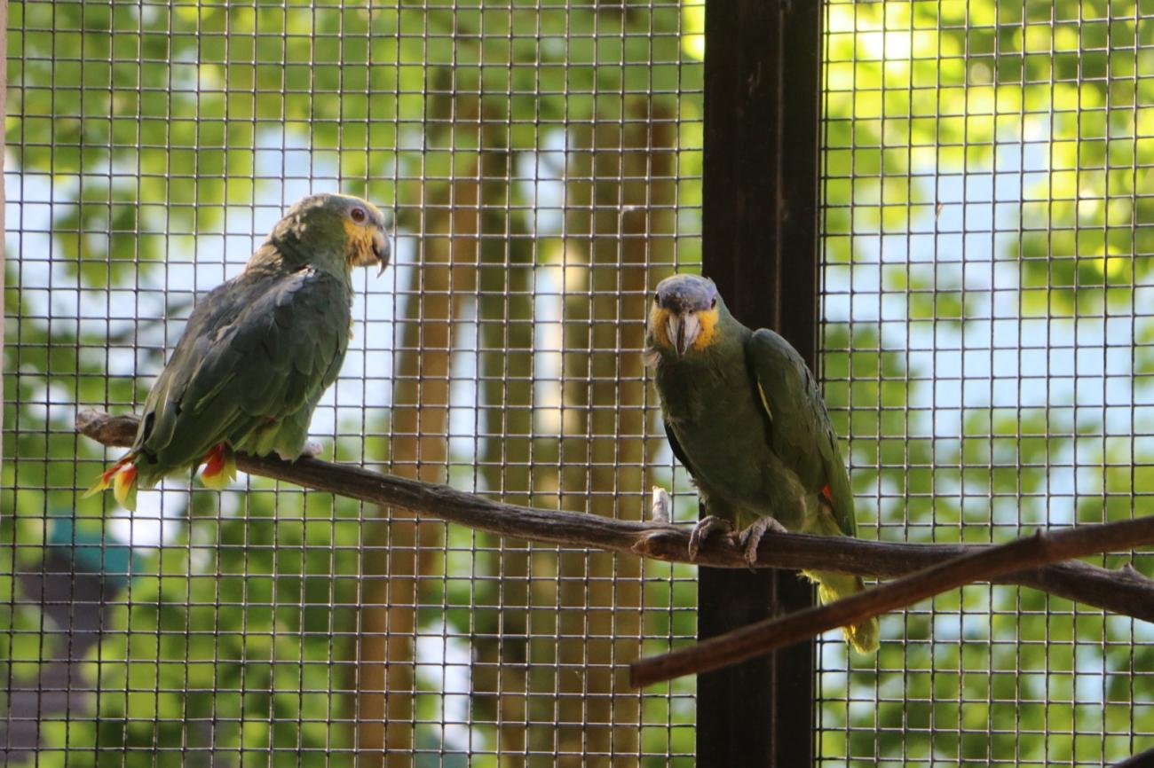 foto. Gdański Ogród Zoologiczny